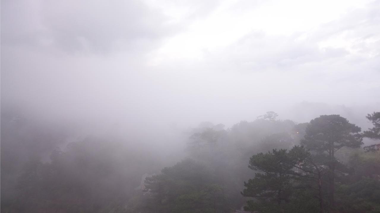 מלון Misty Hill Dalat מראה חיצוני תמונה